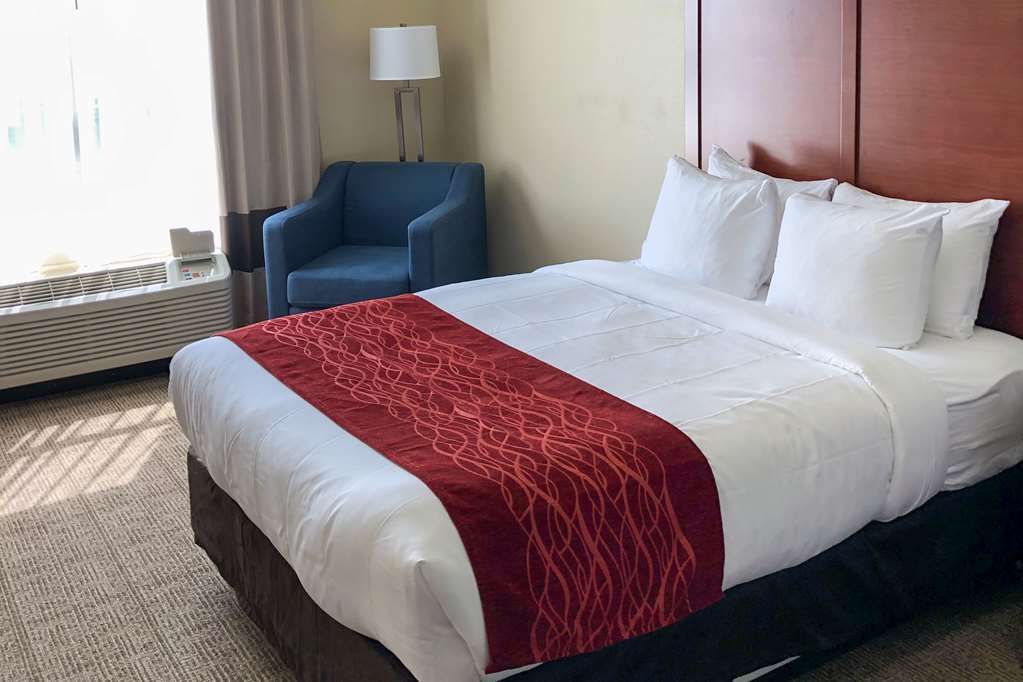 Comfort Inn & Suites Nashville Franklin Cool Springs Pokój zdjęcie